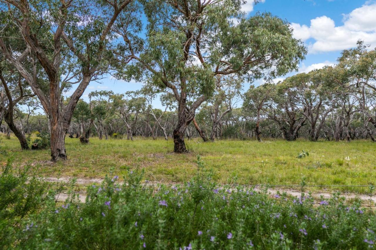 Haven On Harvey Villa Anglesea Exterior photo